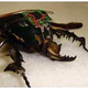 Image for article titled 25 of the Scariest Science Experiments Ever Conducted